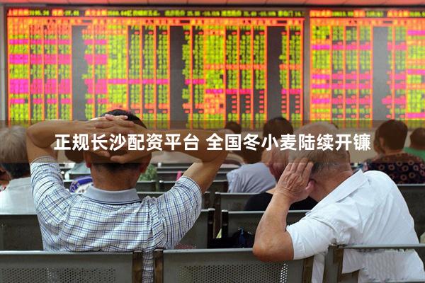 正规长沙配资平台 全国冬小麦陆续开镰