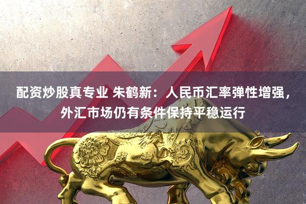 配资炒股真专业 朱鹤新：人民币汇率弹性增强，外汇市场仍有条件保持平稳运行