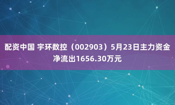 配资中国 宇环数控（002903）5月23日主力资金净流出1656.30万元