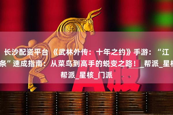 长沙配资平台 《武林外传：十年之约》手游：“江湖老油条”速成指南：从菜鸟到高手的蜕变之路！_帮派_星核_门派