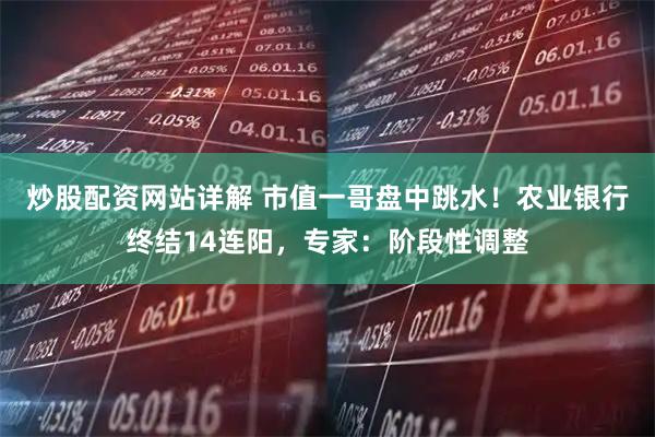 炒股配资网站详解 市值一哥盘中跳水！农业银行终结14连阳，专家：阶段性调整